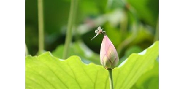 神在每一时刻、与每一个人说话 神在每一时刻、与每一个人说话